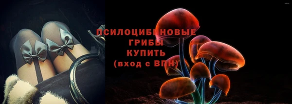 меф Вяземский