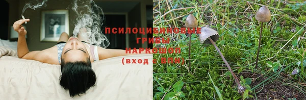 MESCALINE Вязники