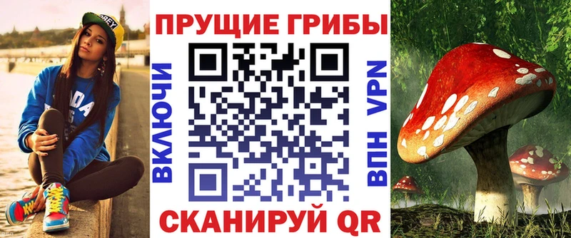 Галлюциногенные грибы Cubensis  хочу наркоту  Севастополь 